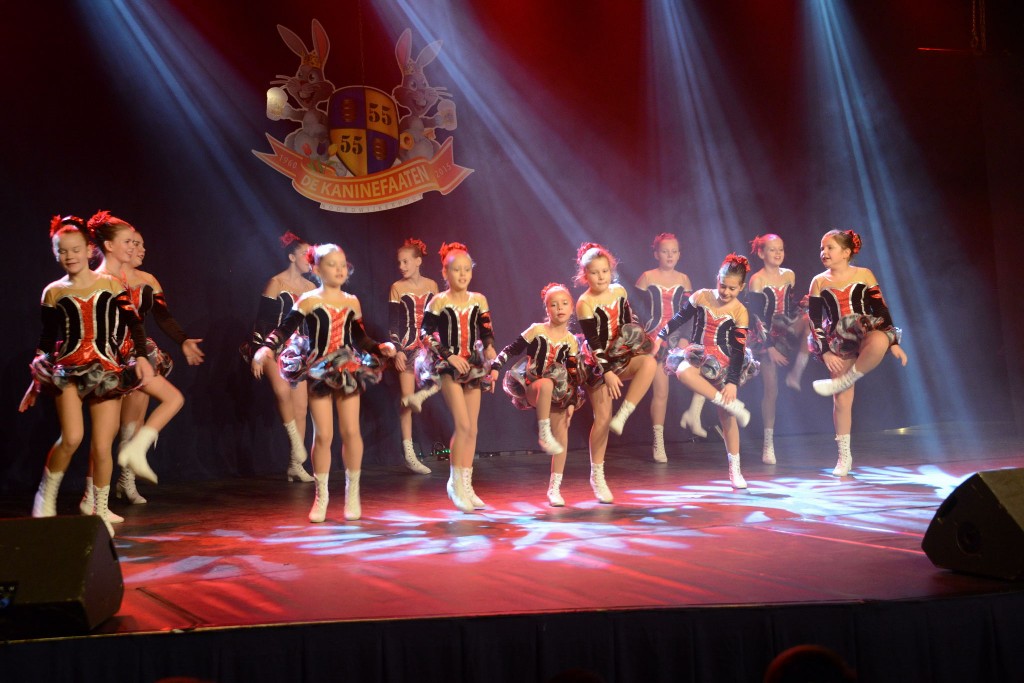../Images/Dansmarieke festival 2015 137.jpg